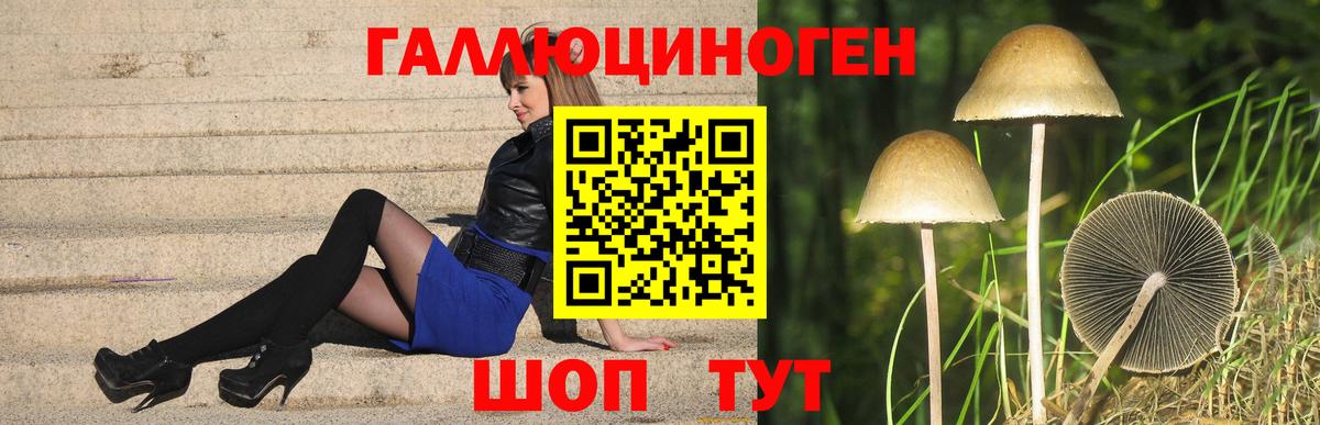 Ярцево  Псилоцибиновые грибы GOLDEN TEACHER  Вход с VPN 