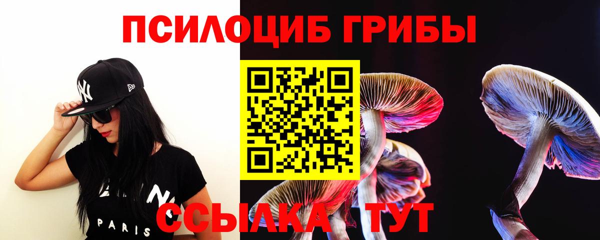 Галлюциногенные грибы Psilocybine cubensis Ярцево